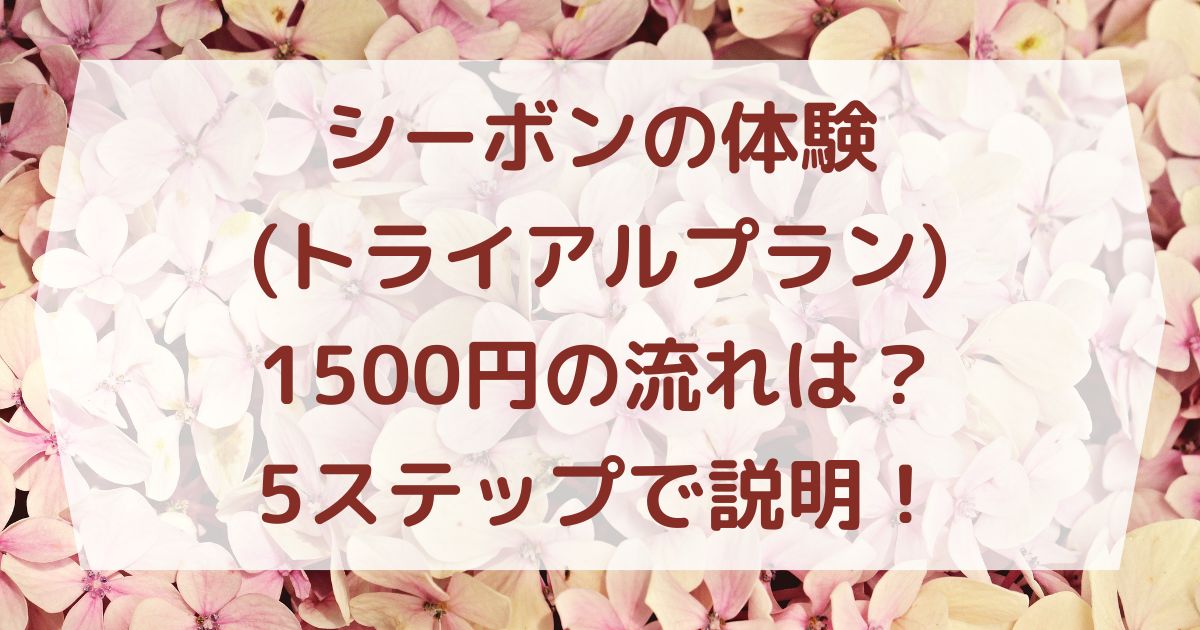 シーボンの体験(トライアルプラン)1500円の流れは？5ステップで説明！