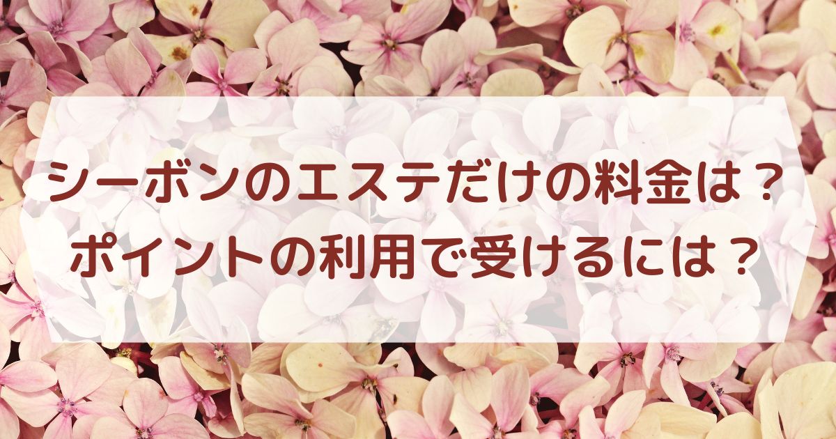 シーボンのエステだけの料金は？ポイントの利用で受けるには？